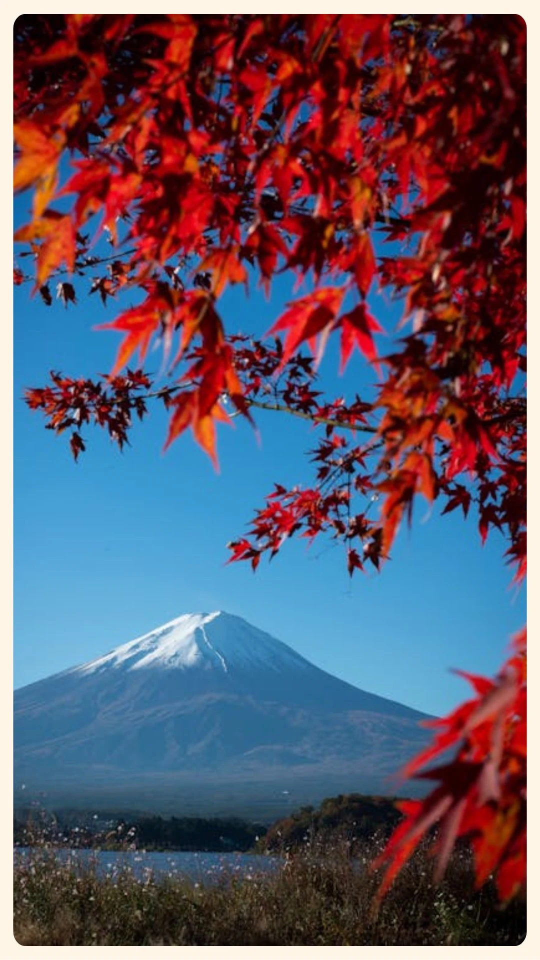 Tokyo (HND)