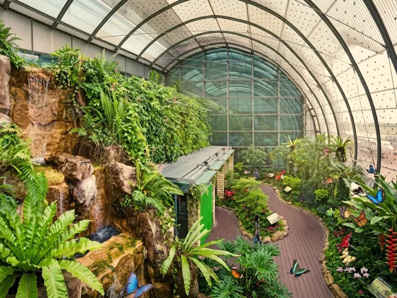 Changi Terminal 3 butterfly garden with tropical plants and free-flying butterflies